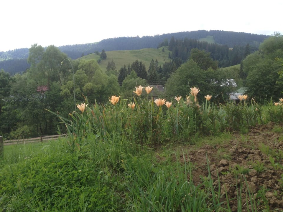 Natural landscape, Hiking, Mountain view