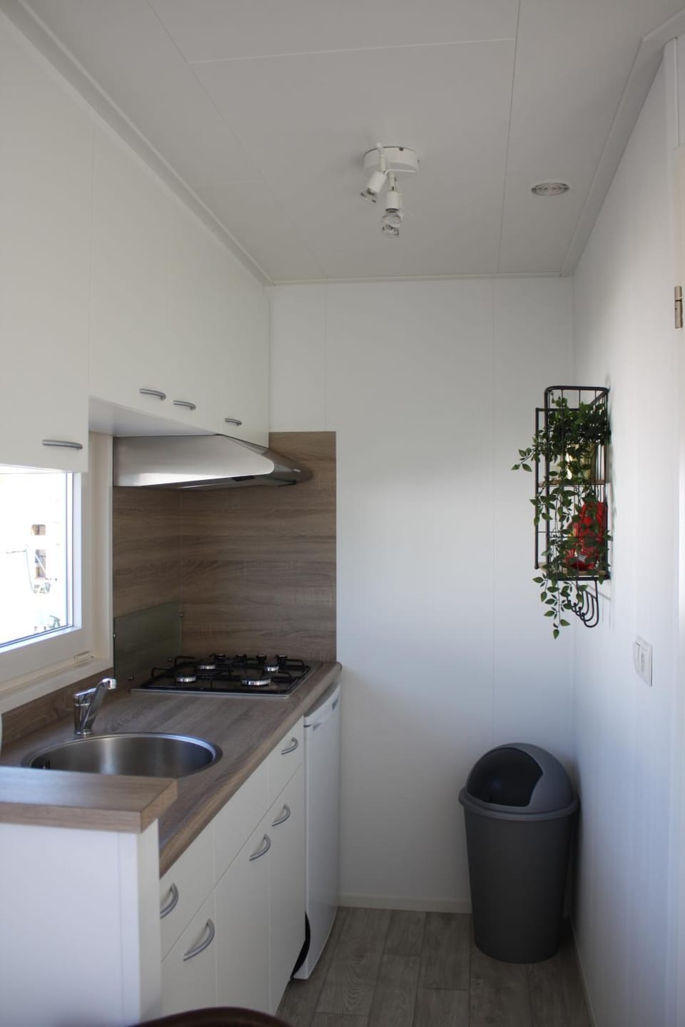 Coffee/tea facilities, Kitchen or kitchenette