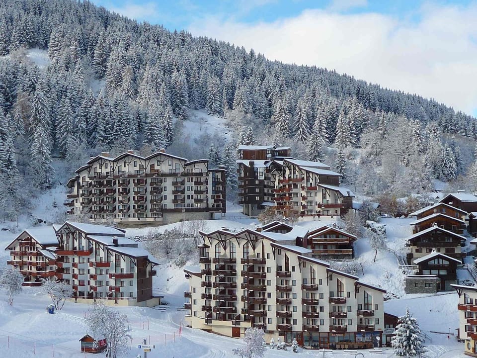 Duplex lumineux skis aux pieds pour 9 pers, animaux admis Apartment in Les Allues