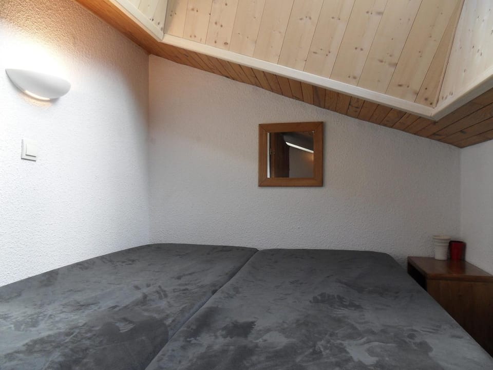 Studio spacieux au cœur de Belle Plagne, animaux admis - FR-1-181-1531 Apartment in Mâcot-la-Plagne