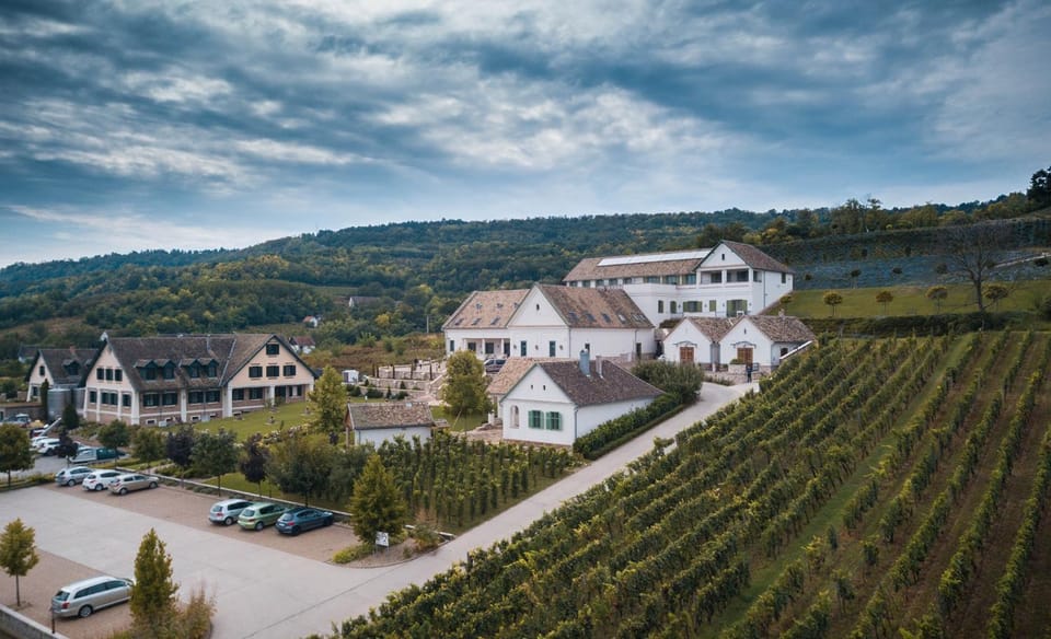 Property building, Neighbourhood, Bird's eye view