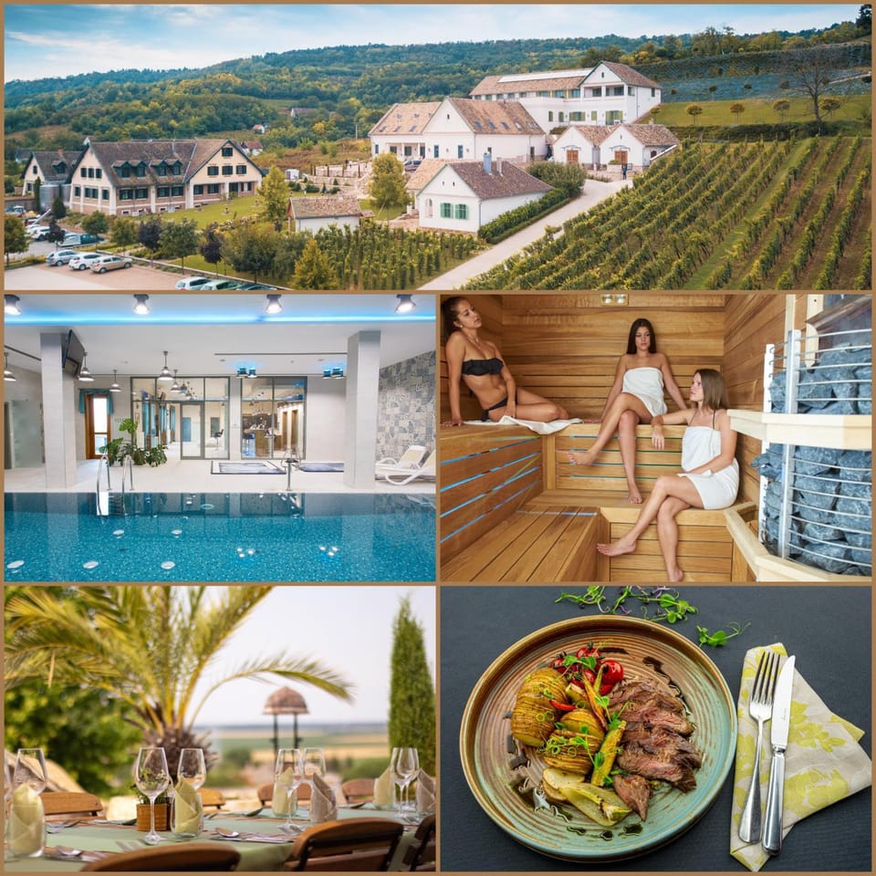 Sauna, Food and drinks, Pool view