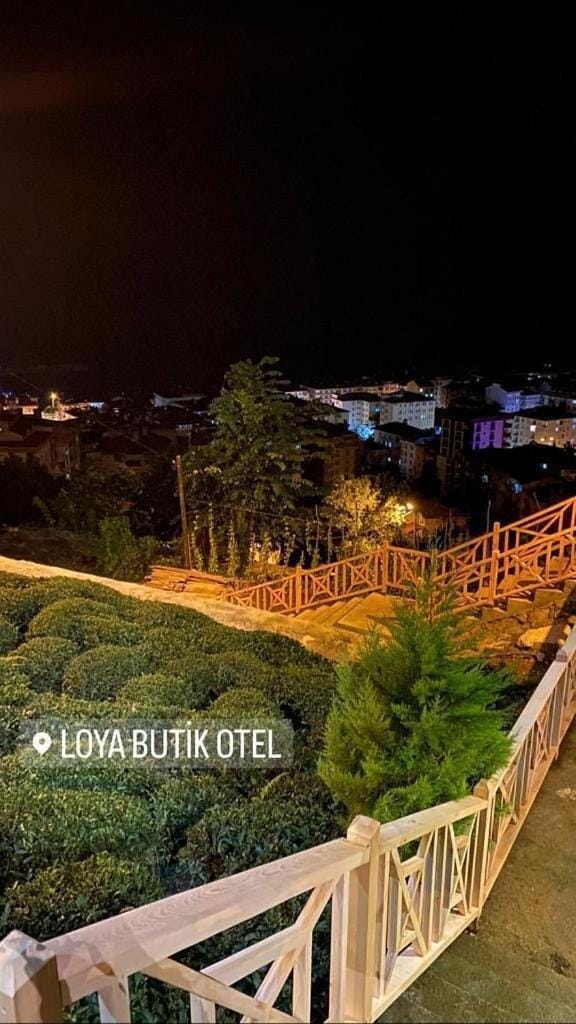 Night, Natural landscape