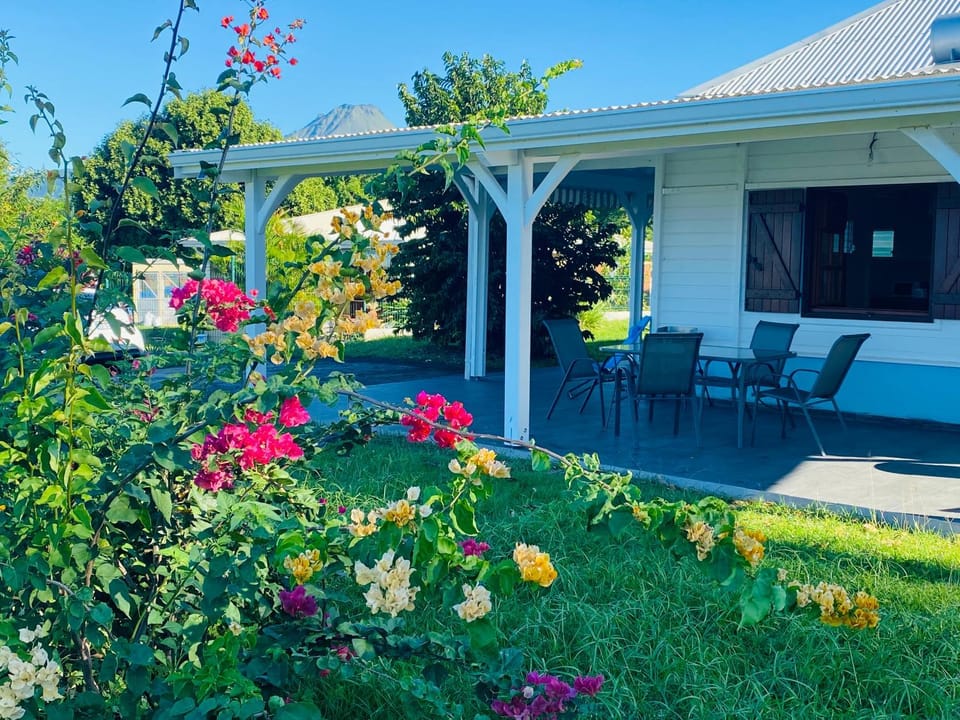 Property building, Garden, Garden