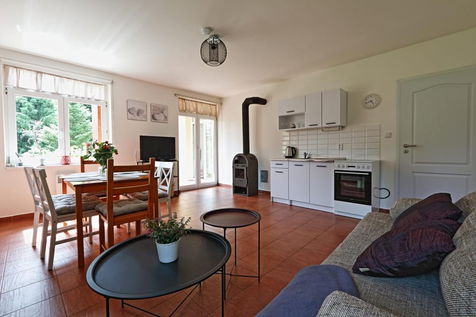 Kitchen or kitchenette, Living room, Seating area, Dining area, stove