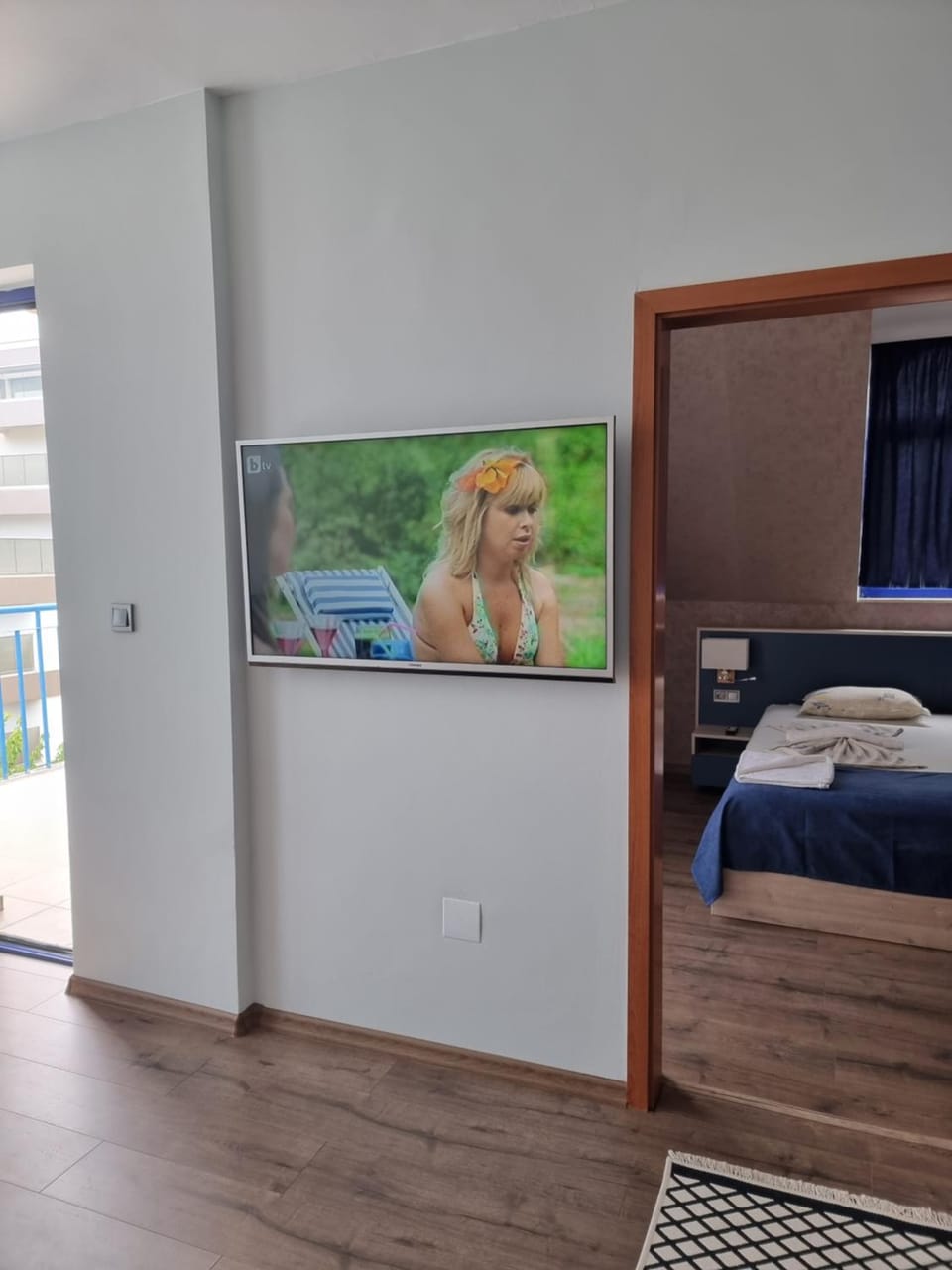 TV and multimedia