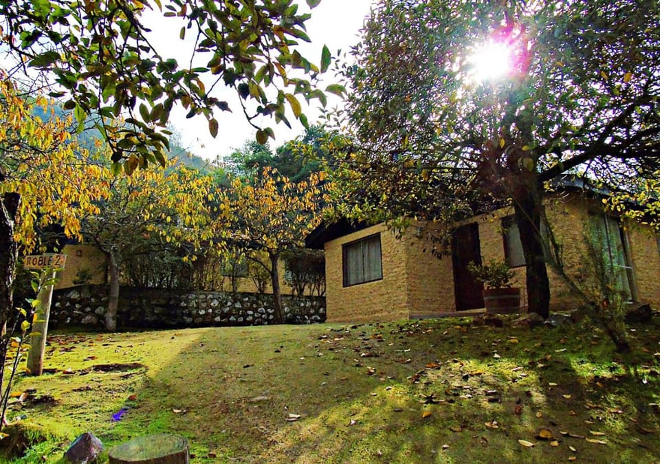 Facade/entrance, BBQ facilities, Pets