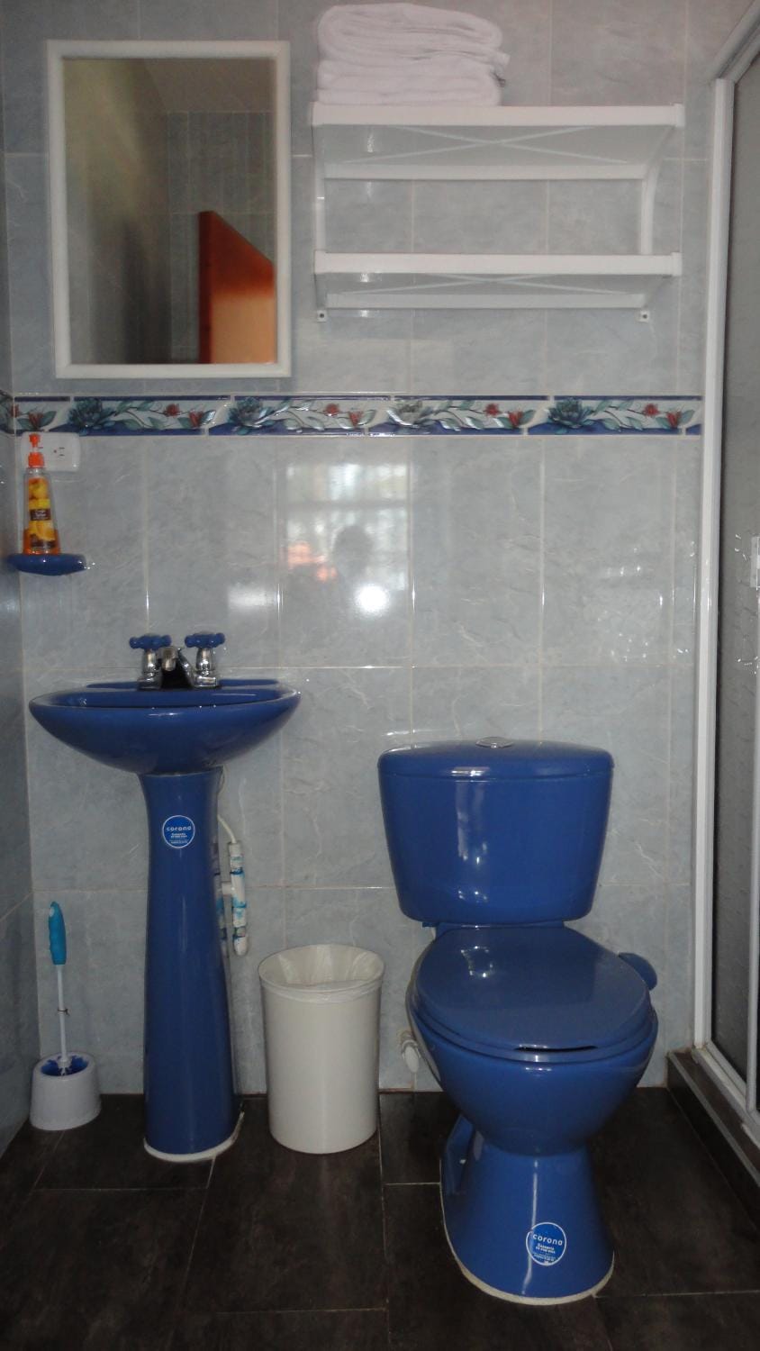 Bathroom, Internal: Not applicable to any particular room