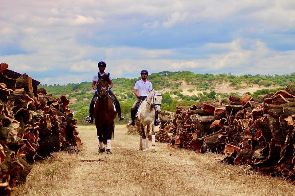 Horse-riding, Animals