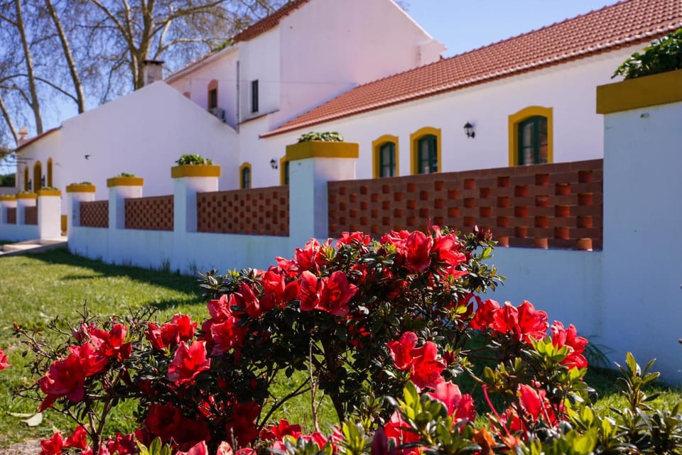 Property building, Spring, Day, Garden, Garden view