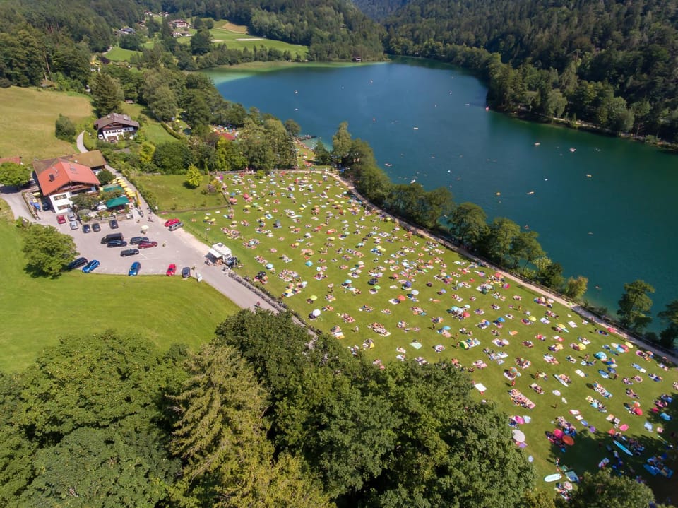 Bird's eye view, Summer