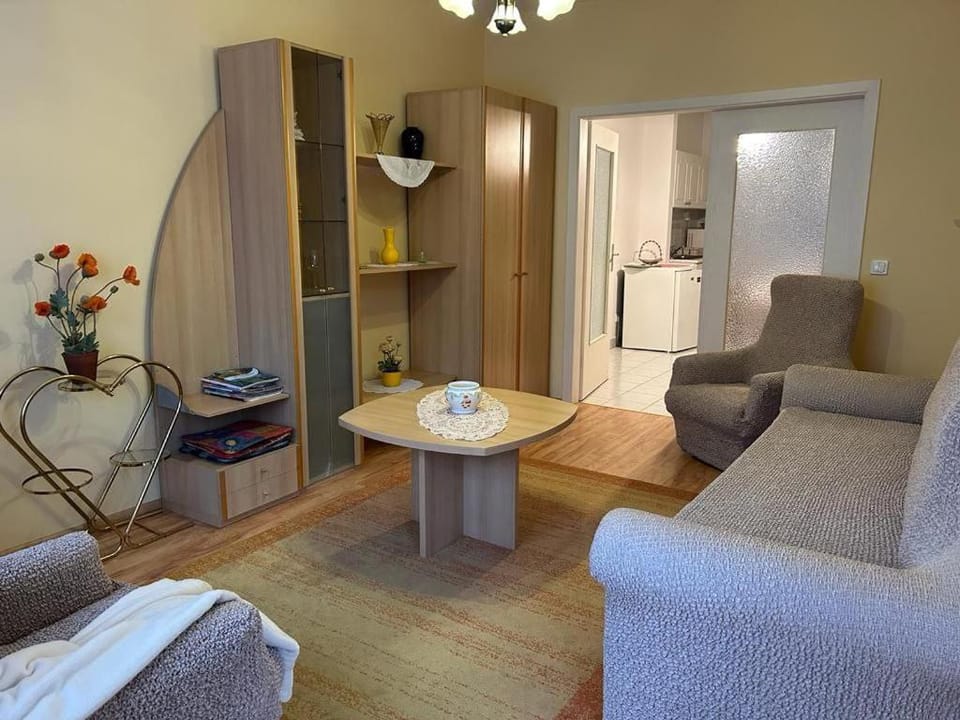 Rehab Apartment Apartment in Hévíz