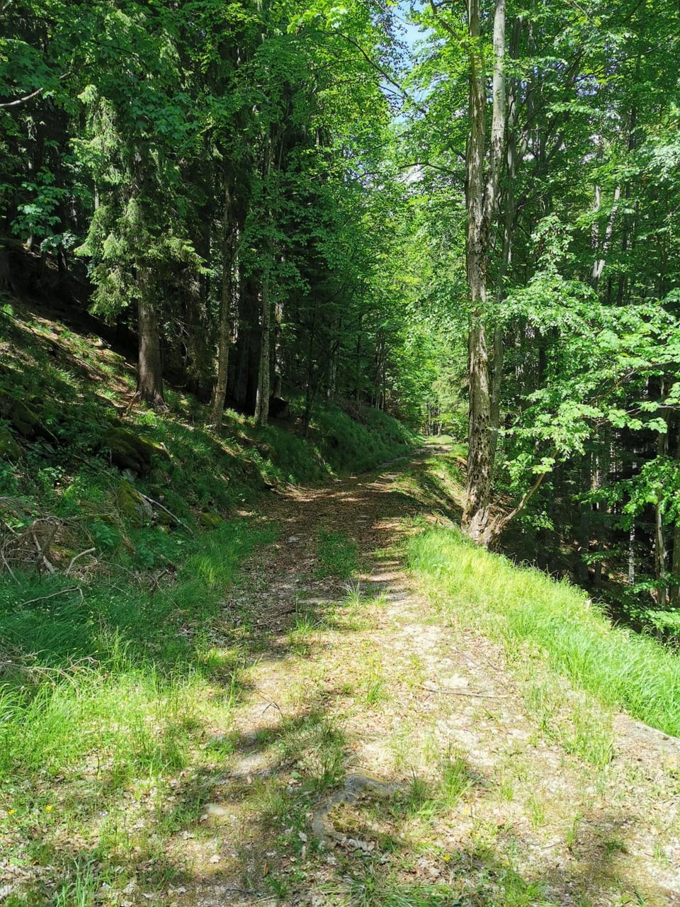 Day, Natural landscape, Activities, Hiking, Cycling