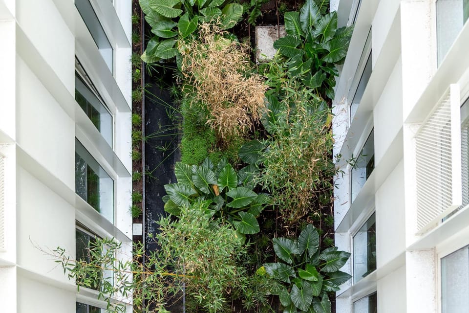 Garden view