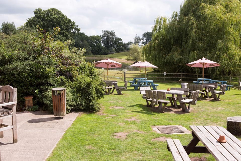 Restaurant/places to eat, Garden view