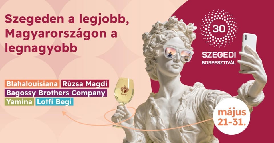 Downtown Dream Apartmans Apartment in Szeged