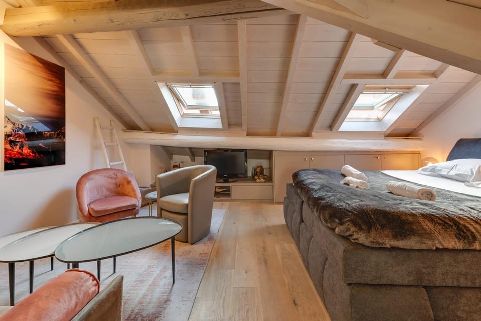 The Attic - Ideally located in the old town Apartment in Annecy
