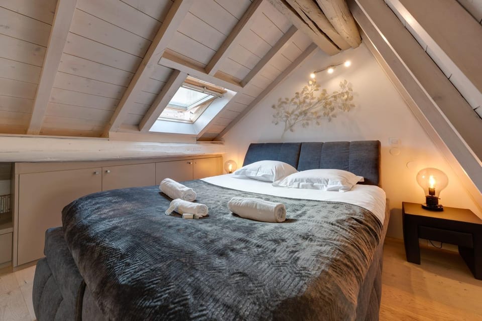 The Attic - Ideally located in the old town Apartment in Annecy