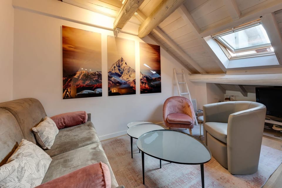 The Attic - Ideally located in the old town Apartment in Annecy