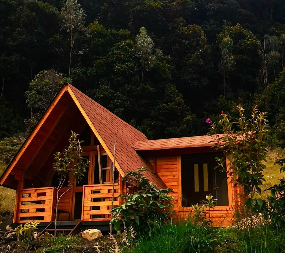 Property building, Spring, Day, Natural landscape, Garden, Garden view, Mountain view