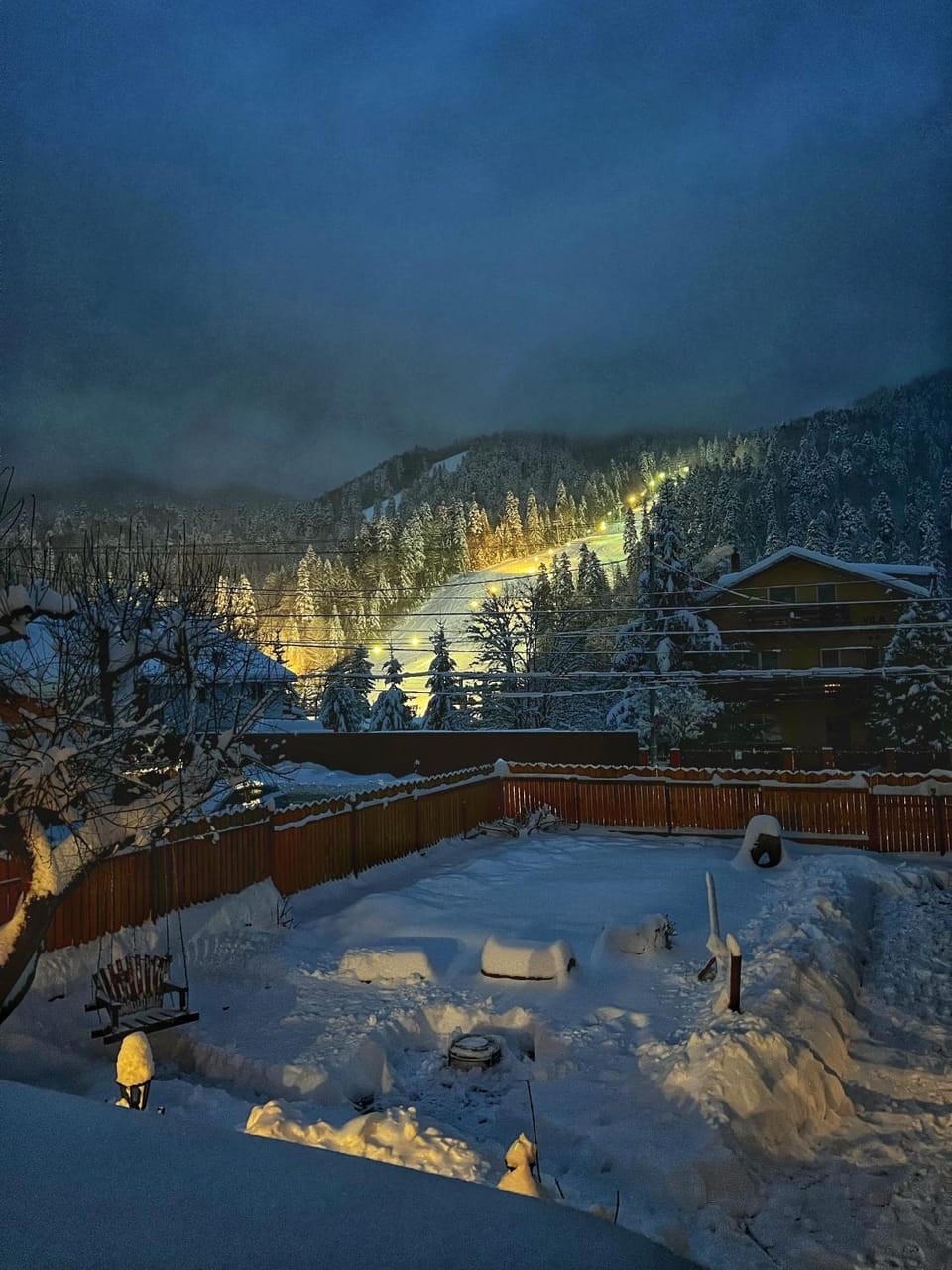 Night, Natural landscape, Winter, Mountain view, group of guests