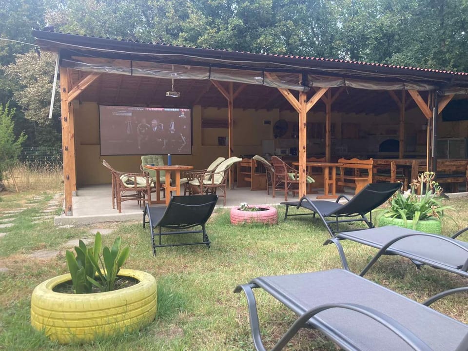 Patio, Communal lounge/ TV room, Day, Garden, Evening entertainment, Garden view, sunbed