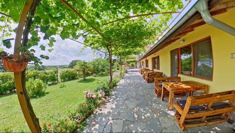 Property building, Patio, Day, Natural landscape, Garden, View (from property/room), Garden view