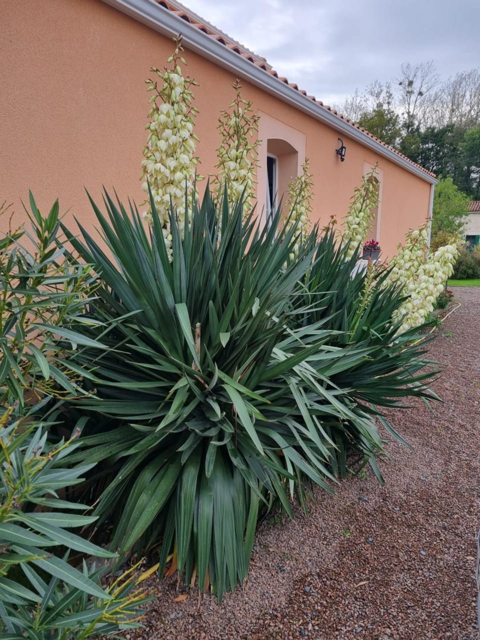 Le logis du marais Bed and Breakfast in Pays de la Loire