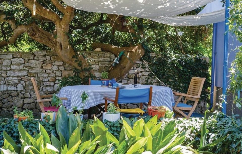 Patio, Garden, Garden view