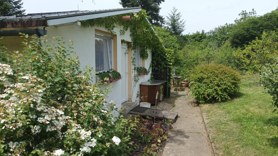 Garden view, Garden view