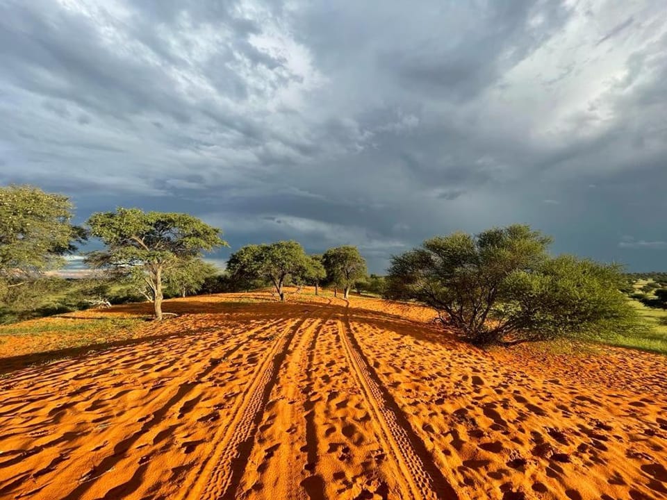 Aranos Kalahariland Guest Farm Apartment in Namibia