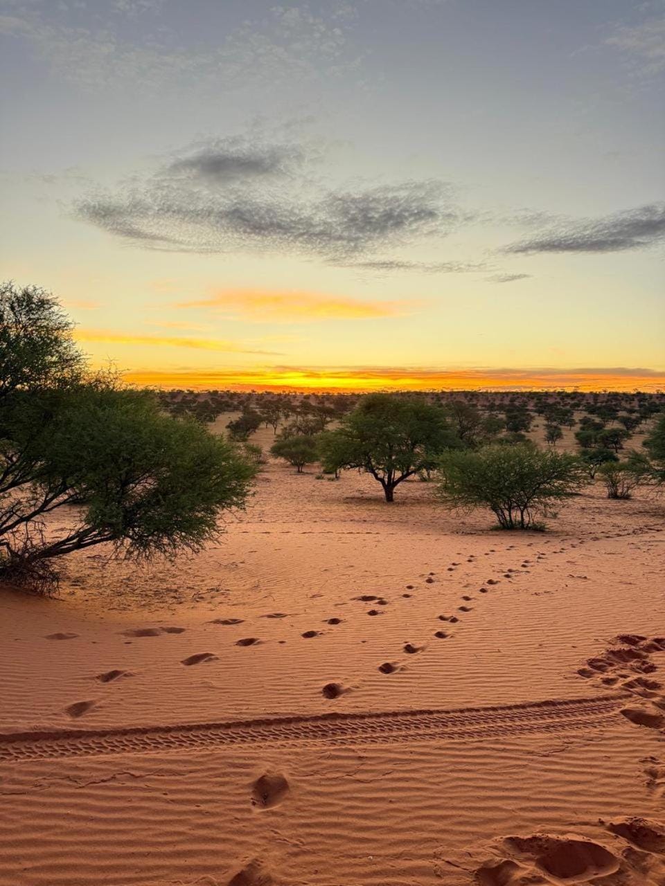 Aranos Kalahariland Guest Farm Apartment in Namibia