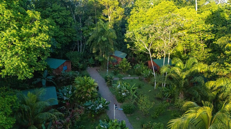 Natural landscape, Garden, Garden view