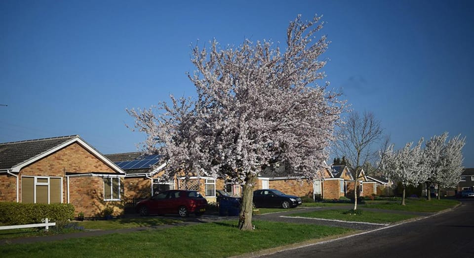 Wings Bed and Breakfast in Oakham