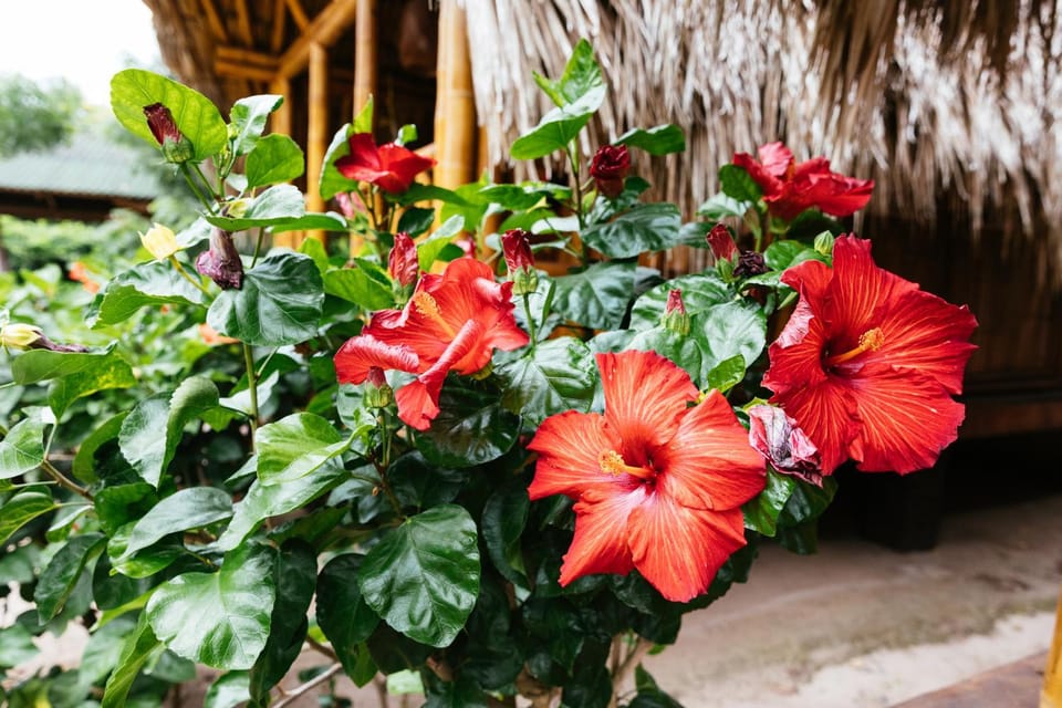 Hostal La Finquita Bed and Breakfast in Magdalena, Colombia