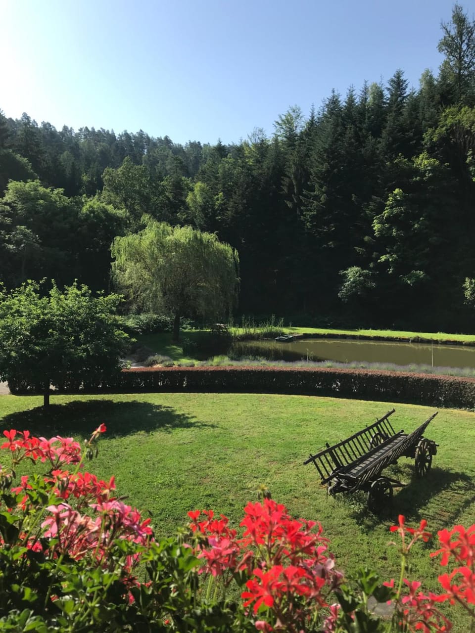 Garden view