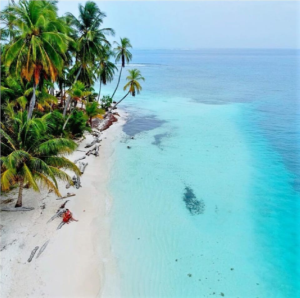 Natural landscape, Bird's eye view, Beach