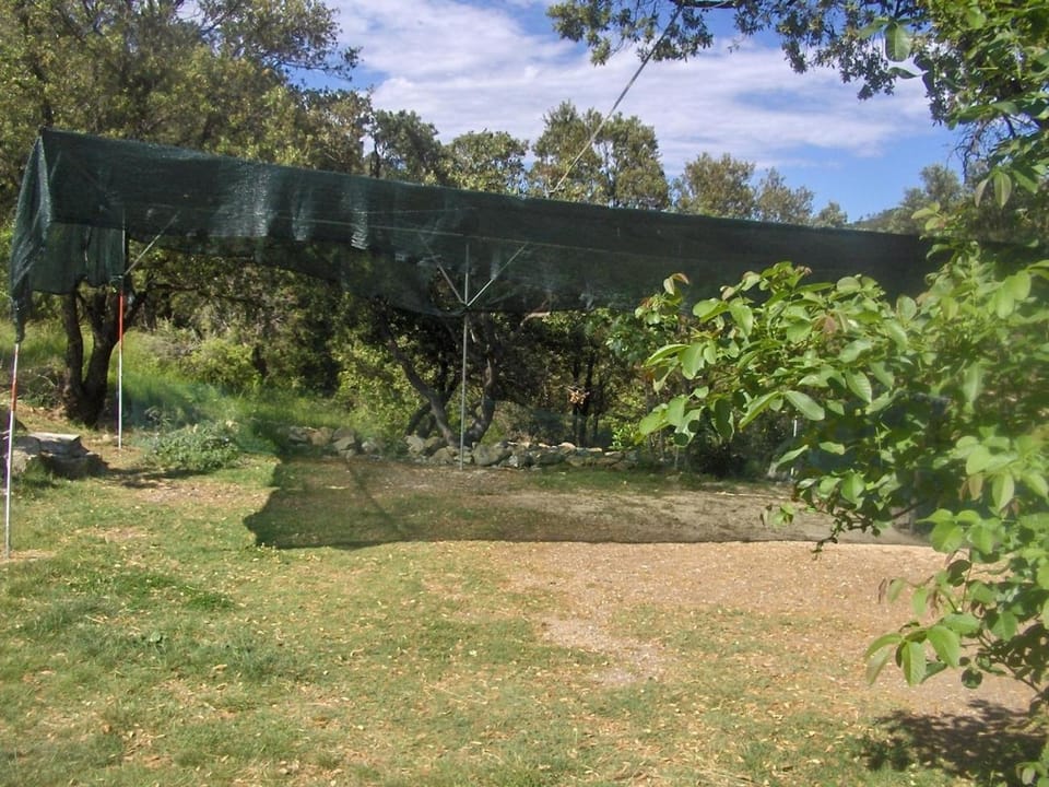 Location, children, Family