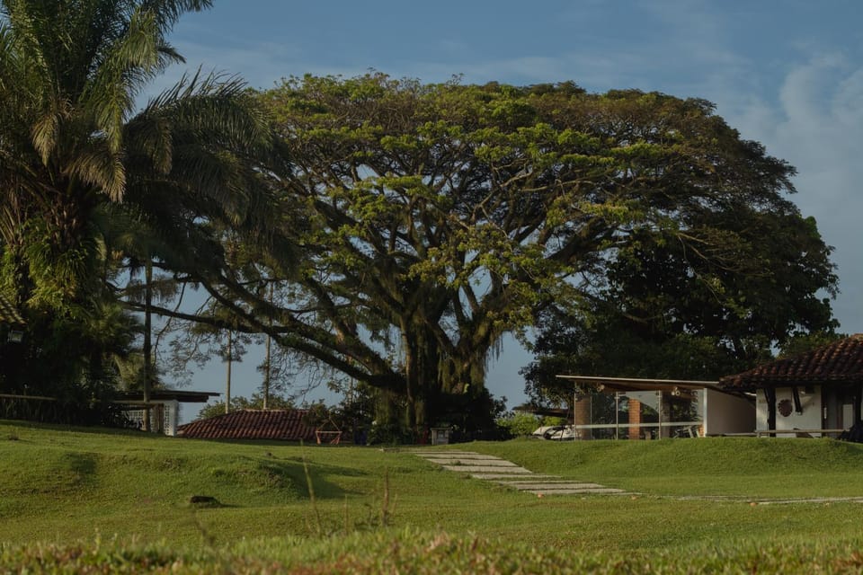 Natural landscape, Seating area, Area and facilities