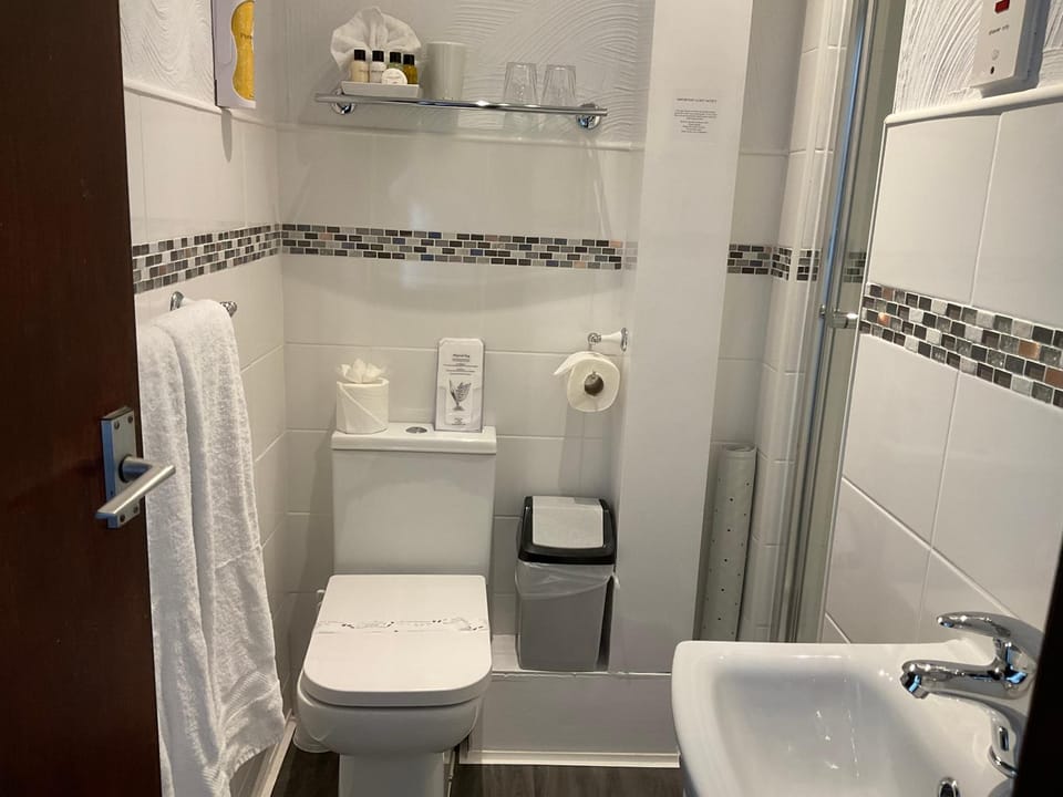 Shower, Toilet, Bathroom, towels
