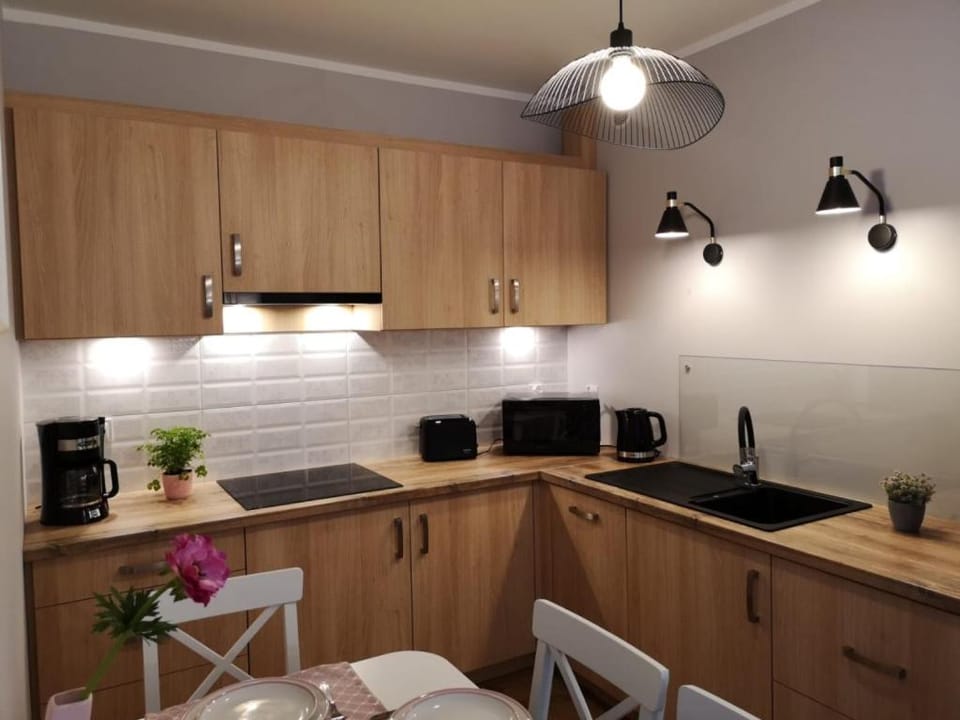 Coffee/tea facilities, Kitchen or kitchenette, Photo of the whole room, Dining area, dishwasher, internet, minibar, pet friendly, stove, toaster, kitchen