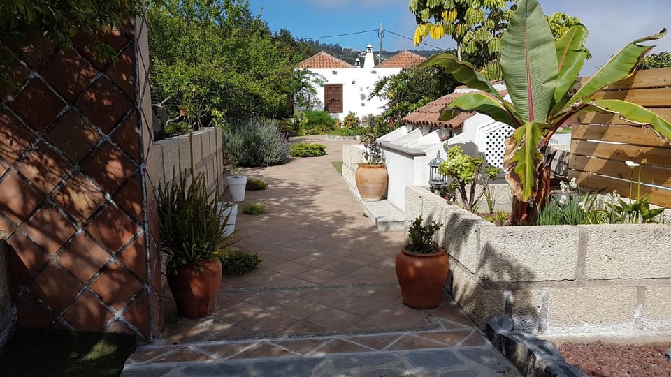 Facade/entrance, Garden