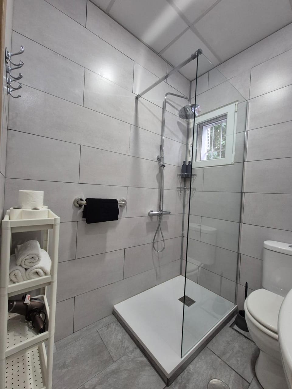 Shower, Toilet, Bathroom, towels