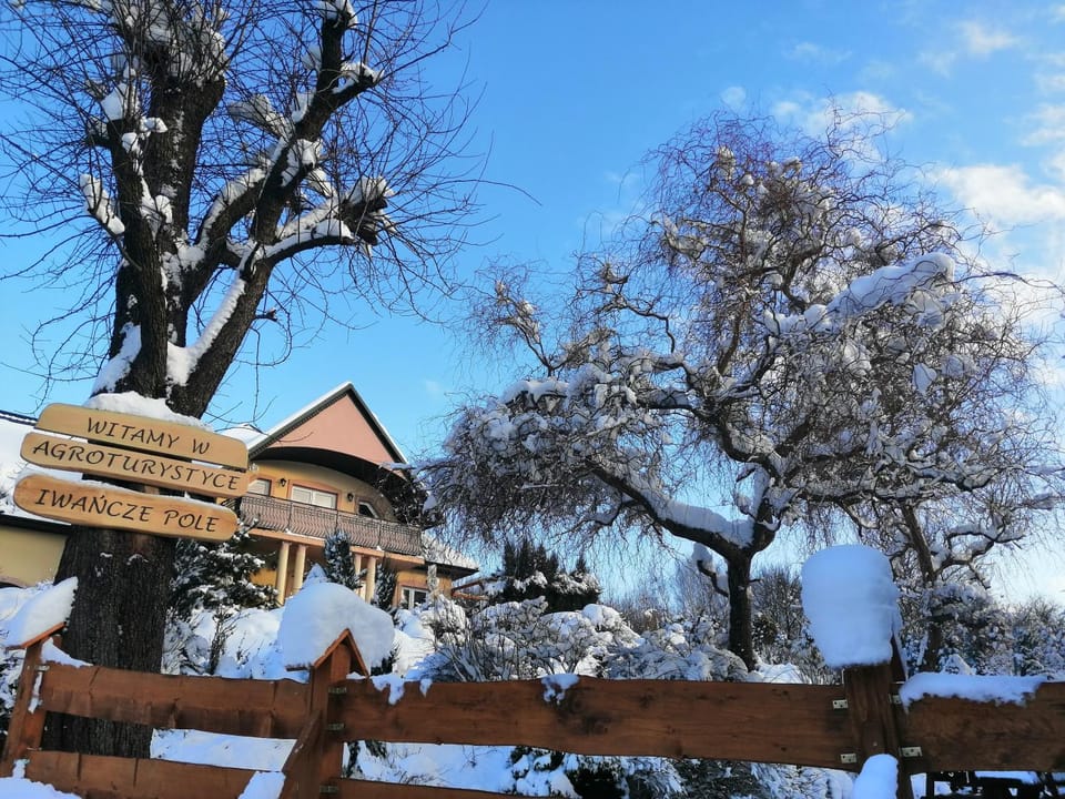 Activities, Garden, Area and facilities
