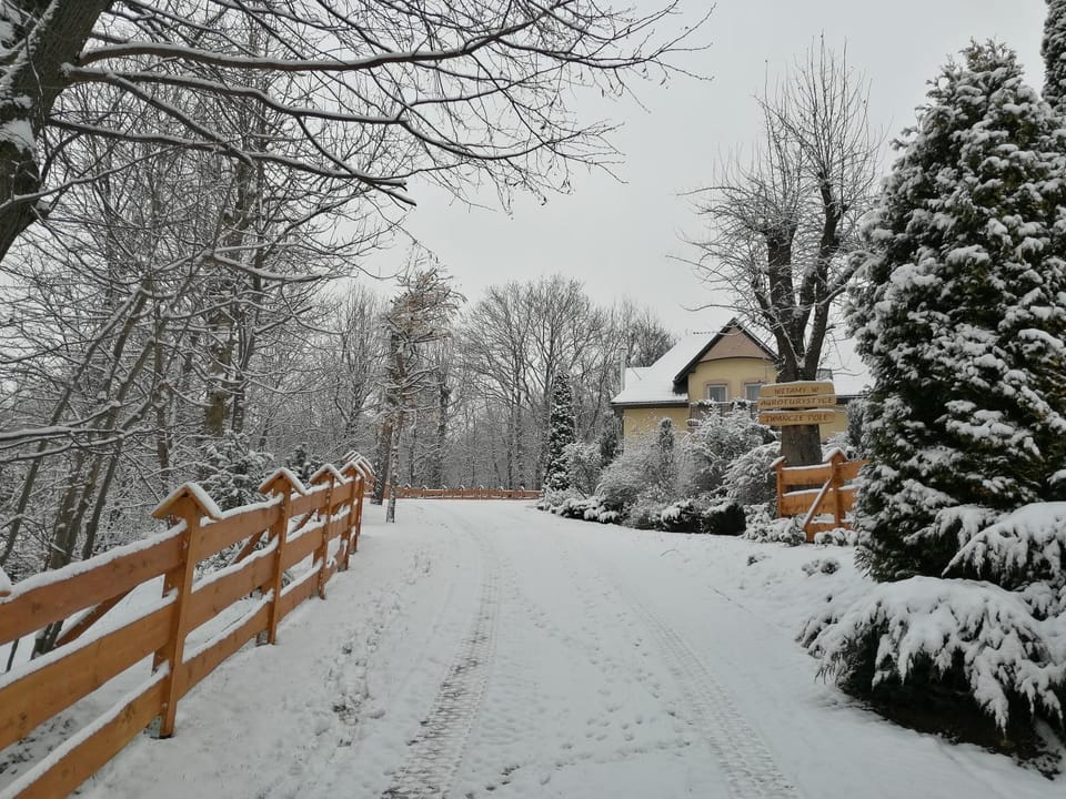 Garden, Garden view, Area and facilities