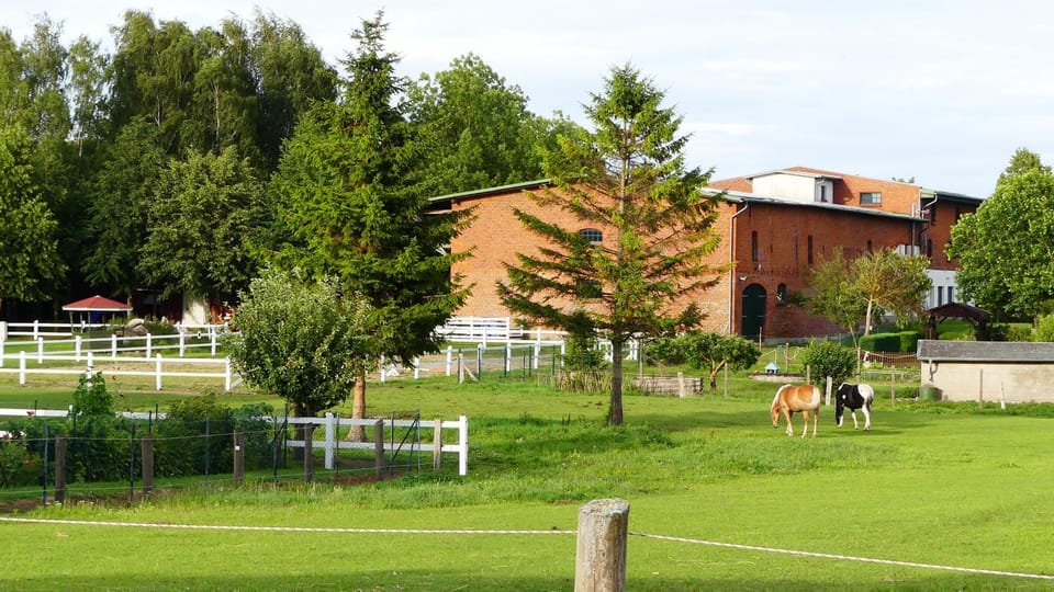 Property building, Natural landscape, Garden view