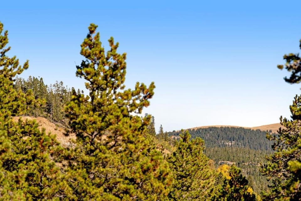 Powderhorn Corner Apartment in Breckenridge