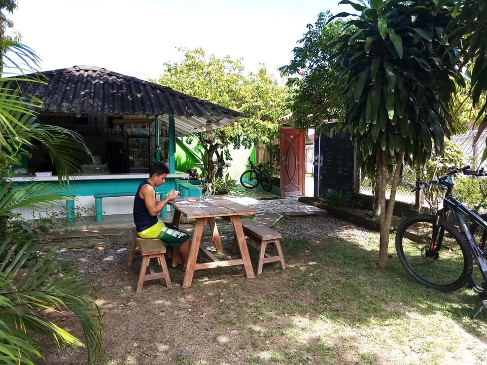 Garden view
