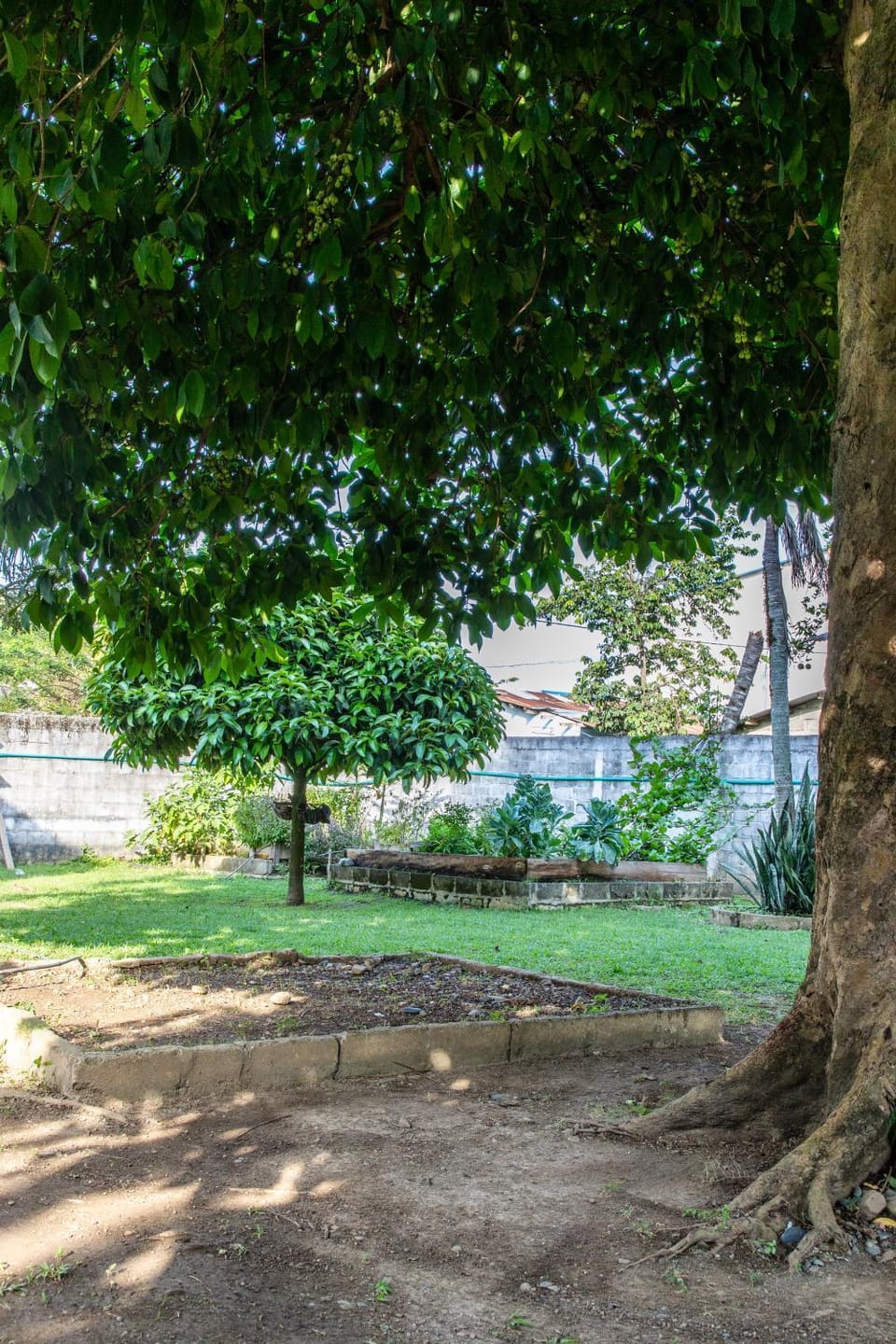 Garden view