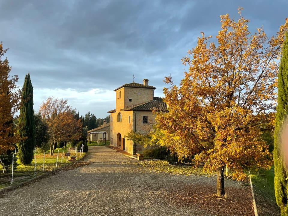 Natural landscape